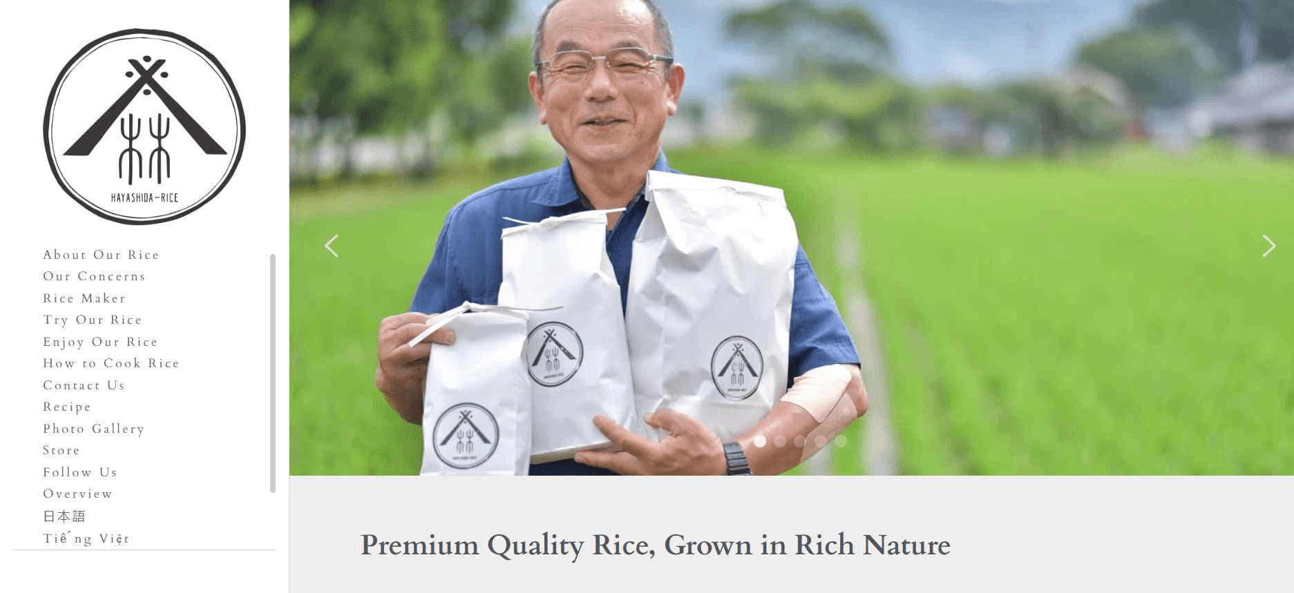 hayashida-solopreneur hayashida-solopreneur